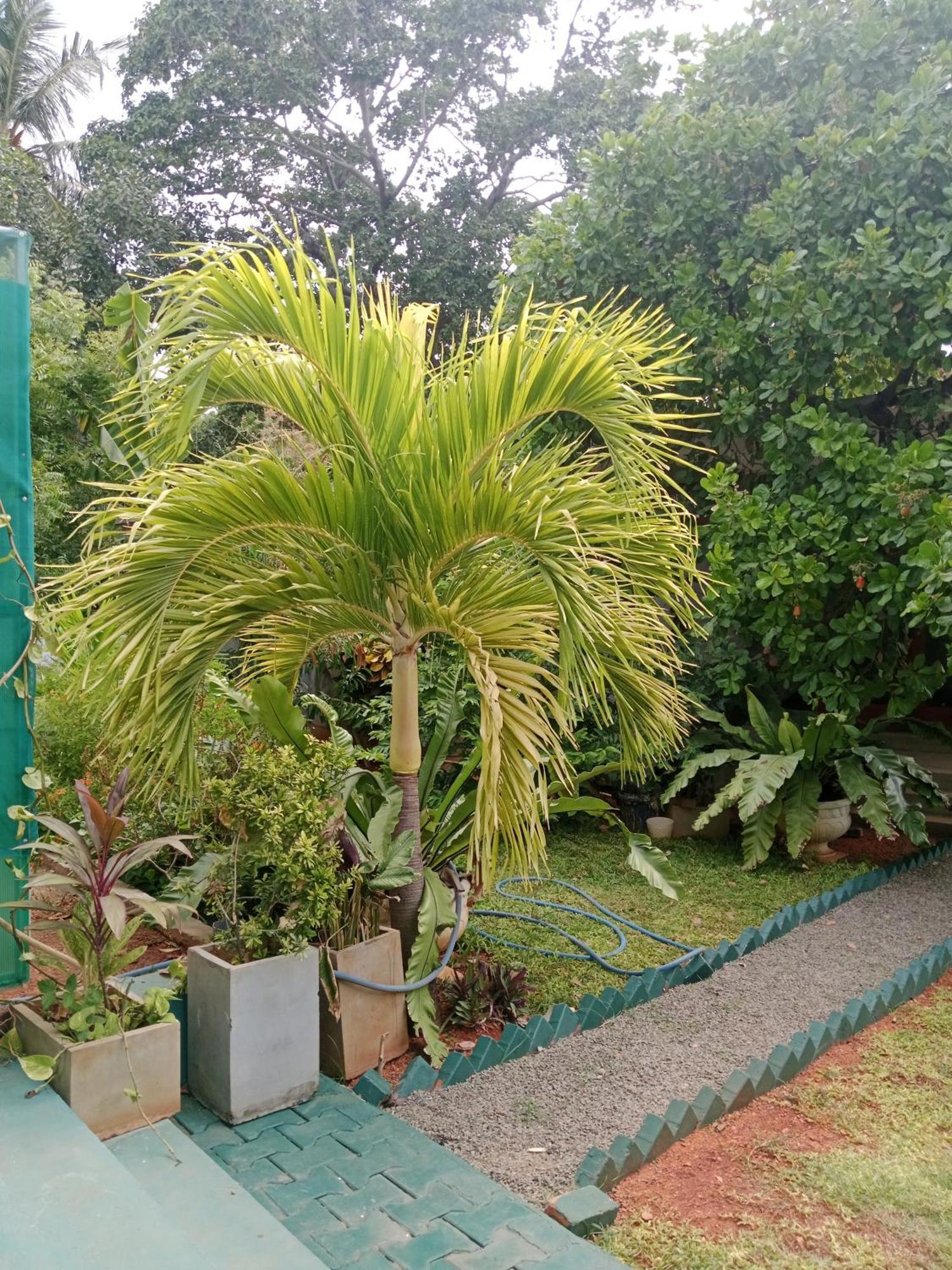 Home Stay Resort Nilaveli Exterior foto